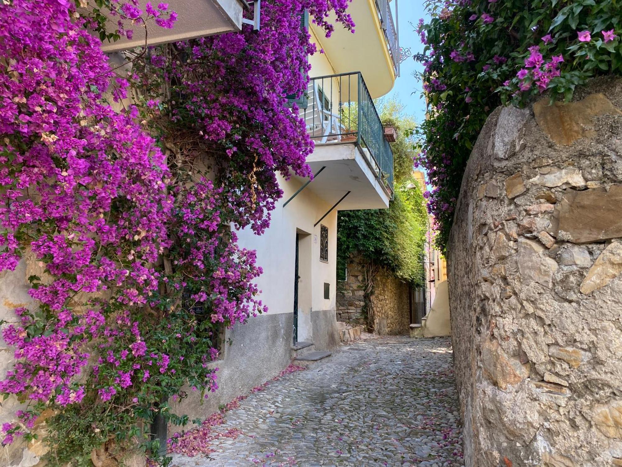 La Finestra Sul Borgo Bed & Breakfast Cervo Eksteriør bilde